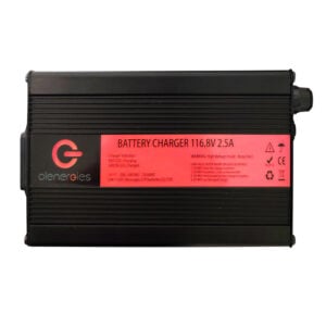 Chargeur Batteries Lithium LFP 96V série M